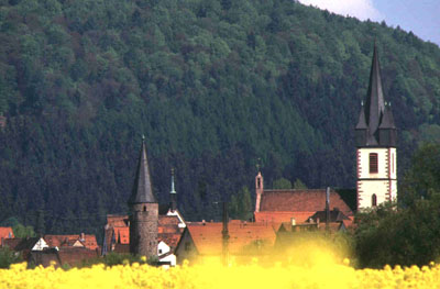 Gem mit Rapsfeld