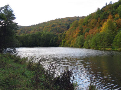 herbst-10