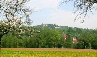 homburg