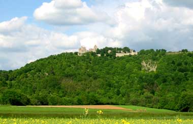 homburg1