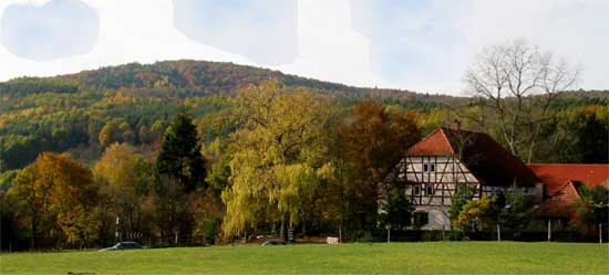 zollberg1